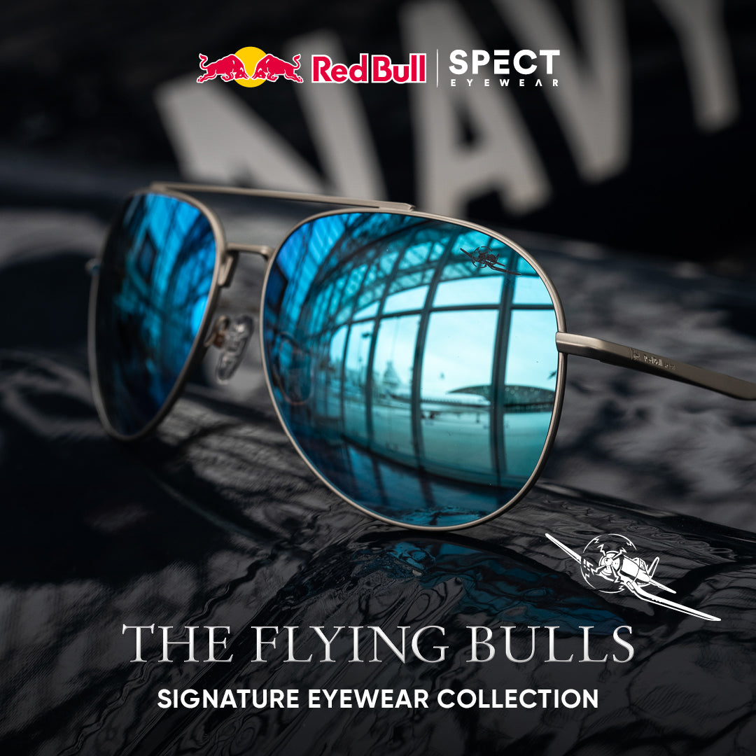 Red Bull Spect Lightning TFB sunglasses brown