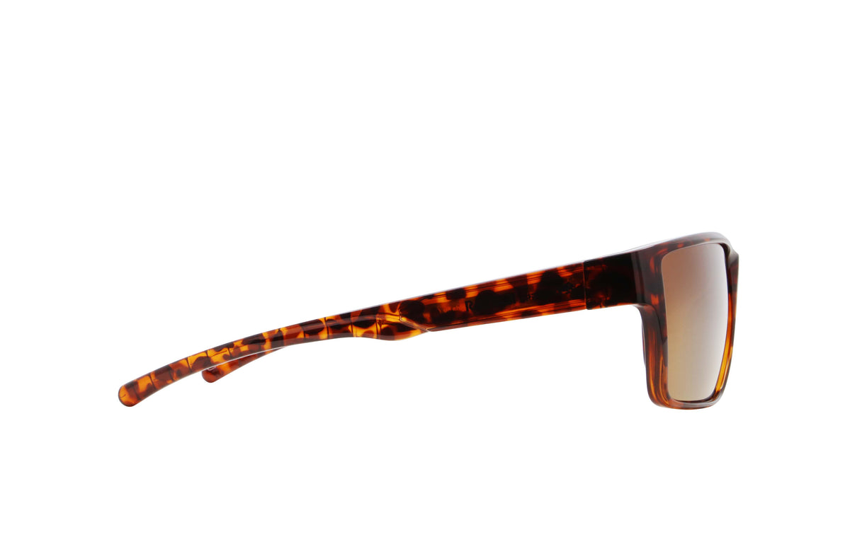 Red Bull Spect CHASE sunglasses brown with brown lenses