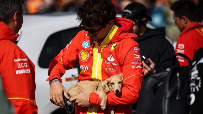 Scuderia Ferrari F1 Teamjacke PRO rot