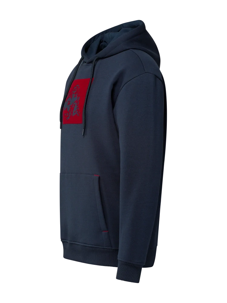 Red Bull Ring CORE casual hoodie with RRI motif