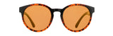 Red Bull Spect Sonnenbrille EVER braun-schwarz mit braunen Gläsern