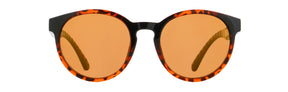 Red Bull Spect Sonnenbrille EVER braun-schwarz mit braunen Gläsern