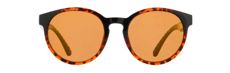 Red Bull Spect Sonnenbrille EVER braun-schwarz mit braunen Gläsern