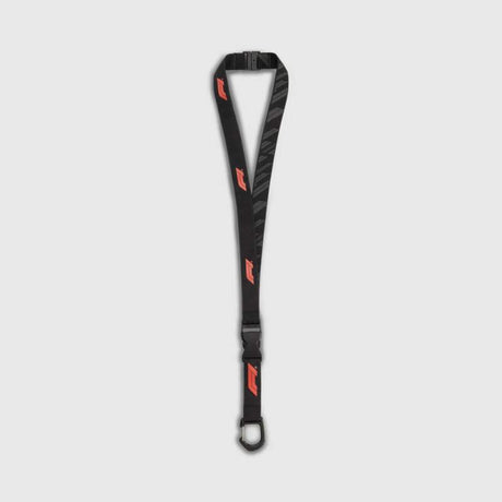 Formula 1 carabiner keyring with F1 logo