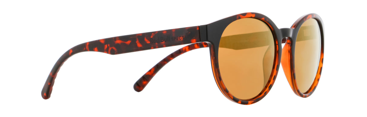 Red Bull Spect Sonnenbrille EVER braun-schwarz mit braunen Gläsern