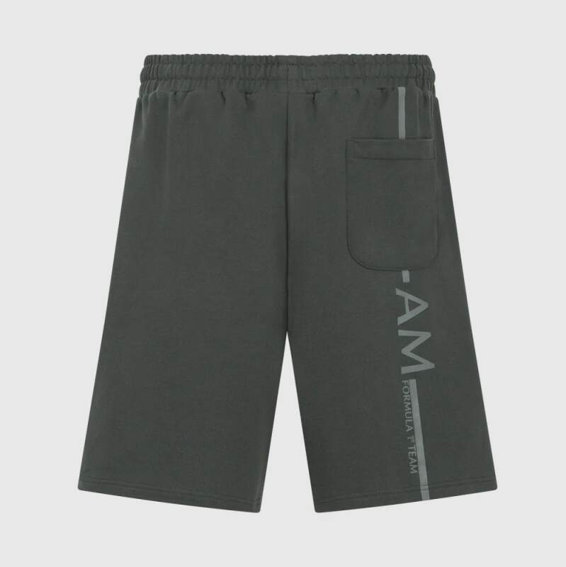 Aston Martin F1 Team AMF1 casual shorts