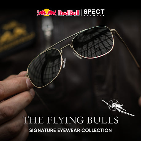 Red Bull Spect Sonnenbrille Lightning TFB braun