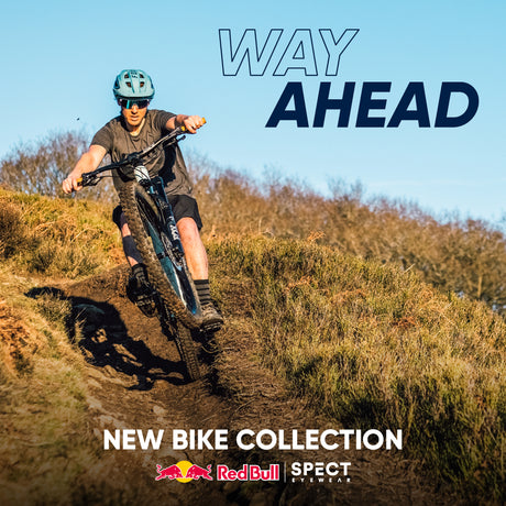 Red Bull Spect Sonnenbrille DASH matt grau mit grün-goldenem Glas